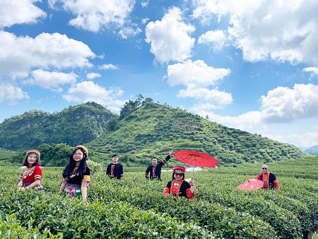 Mai Châu - Mộc Châu - Vườn Hồng Mộc Châu - Rừng Thông Bản Áng - Thung Lũng Mận Nà Ka - Đồi Chè