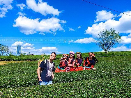 Mai Châu - Mộc Châu - Vườn Hồng Mộc Châu - Rừng Thông Bản Áng - Thung Lũng Mận Nà Ka - Đồi Chè