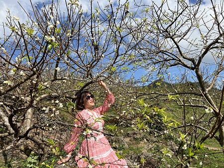 Mai Châu - Mộc Châu - Vườn Hồng Mộc Châu - Rừng Thông Bản Áng - Thung Lũng Mận Nà Ka - Đồi Chè