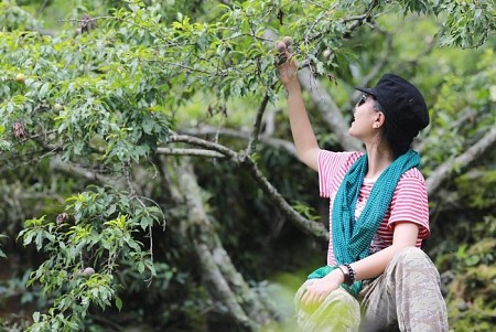 chương trình HÀ NỘI - MAI CHÂU - MỘC CHÂU MÙA QUẢ CHÍN - 2 NGÀY 1 ĐÊM