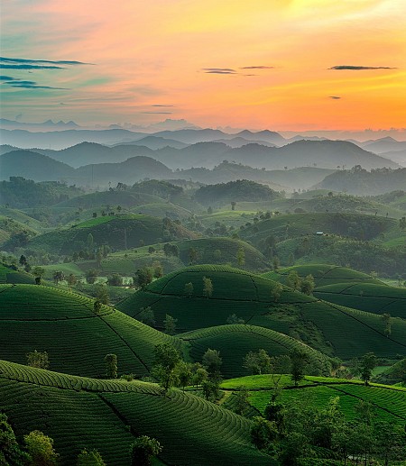 Chương trình Mộc Châu Tà Xùa