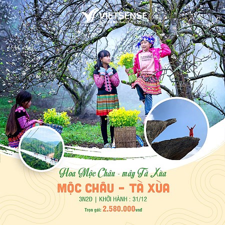 Thiên đường Hoa Mộc Châu - Mây Tà Xùa Tết Dương Lịch 2025 Thiên đường Hoa Mộc Châu - Mây Tà Xùa Tết Dương Lịch 2025