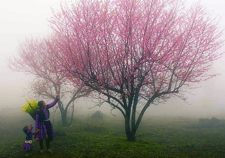 chương trình Hà Nội - Mai Châu - Mộc Châu Tết Âm Lịch 2025