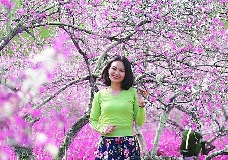 chương trình Hà Nội - Mai Châu - Mộc Châu Tết Âm Lịch 2025