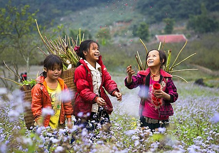 chương trình Hà Nội - Mai Châu - Mộc Châu Tết Âm Lịch 2025