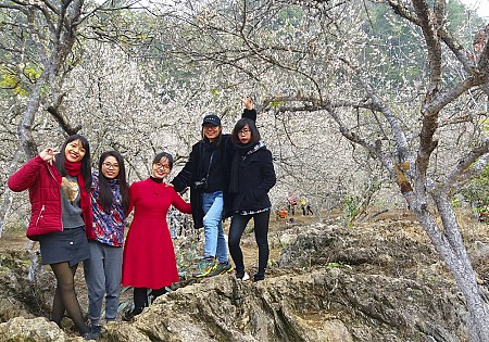 chương trình Hà Nội - Mai Châu - Mộc Châu Tết Âm Lịch 2025