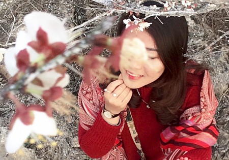 chương trình Hà Nội - Mai Châu - Mộc Châu Tết Âm Lịch 2025