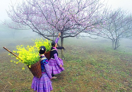 chương trình Hà Nội - Mai Châu - Mộc Châu Tết Âm Lịch 2025