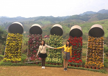 chương trình Hà Nội - Mai Châu - Mộc Châu Tết Âm Lịch 2025