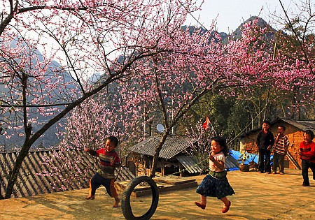 chương trình Hà Nội - Mai Châu - Mộc Châu Tết Âm Lịch 2025