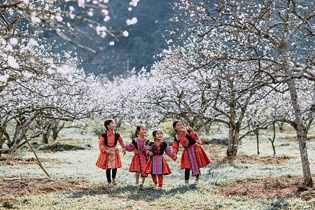 HN - Mộc Châu - Sơn La - Điện Biên Tết Âm Lịch 2025