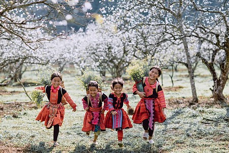 HN - Mộc Châu - Sơn La - Điện Biên Tết Âm Lịch 2025