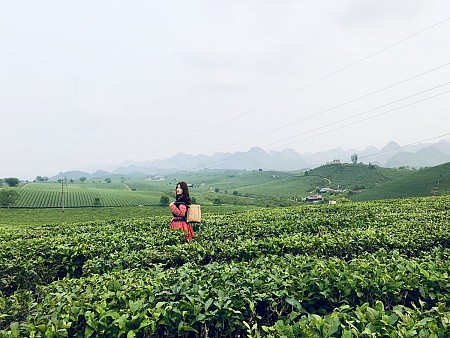 Những Nẻo Đường Tây Bắc 2025!