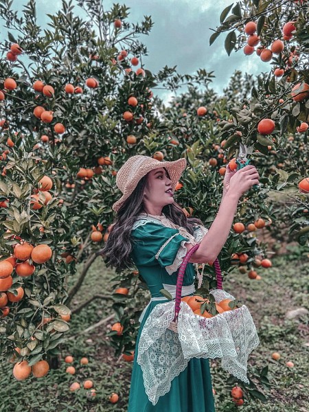 chương trình Du Xuân Hà Nội - Mộc Châu - Sơn La - Điện Biên - Sin Suối Hồ Lai Châu  - Sapa Tết Âm Lịch 2025