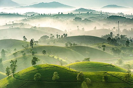 chương trình Du Xuân Hà Nội - Mộc Châu - Sơn La - Điện Biên - Sin Suối Hồ Lai Châu  - Sapa Tết Âm Lịch 2025