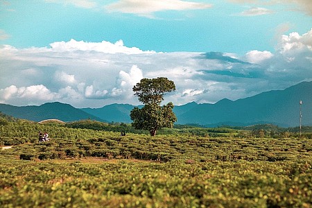 chương trình Du Xuân Hà Nội - Mộc Châu - Sơn La - Điện Biên - Sin Suối Hồ Lai Châu  - Sapa Tết Âm Lịch 2025