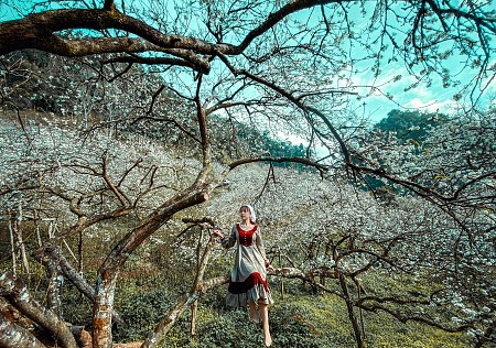 chương trình Du Xuân Hà Nội - Mộc Châu - Sơn La - Điện Biên - Sin Suối Hồ Lai Châu  - Sapa Tết Âm Lịch 2025