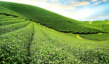 chương trình Du Xuân Hà Nội - Mộc Châu - Sơn La - Điện Biên - Sin Suối Hồ Lai Châu  - Sapa Tết Âm Lịch 2025