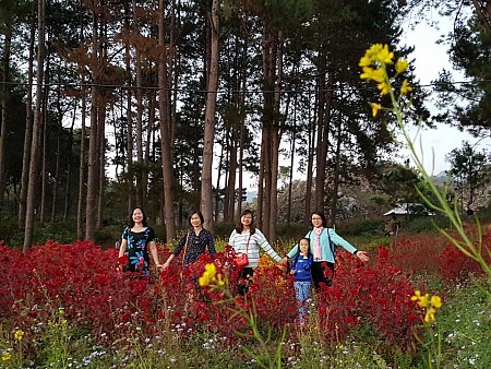 Chương trình Free And Easy Mộc Châu Đi Bằng Xe Khách