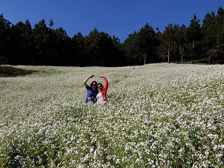 Chương trình Free And Easy Mộc Châu Đi Bằng Xe Khách