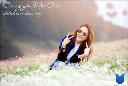 Chương trình Free And Easy Mộc Châu Đi Bằng Xe Khách