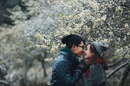 Hà Nội - Mai Châu - Mộc Châu | Mùa Hoa Mơ Hoa Mận Tết Âm Lịch