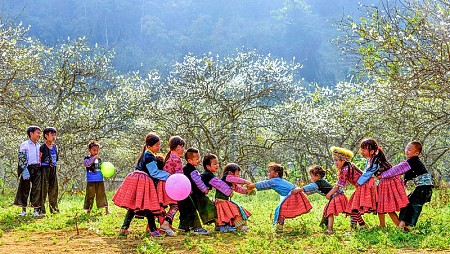 chương trình HÀ NỘI - MAI CHÂU - MỘC CHÂU Giảm Giá Dịp TẾT DƯƠNG LỊCH