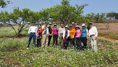 Mai Châu - Mộc Châu - Lễ Hội Hết Chá | 2 Ngày 1 Đêm