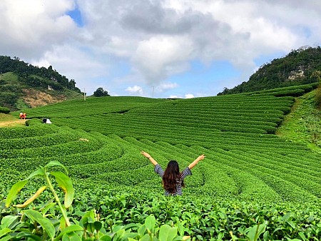 chương trình Mộc Châu Mùa Hoa Cải 2025