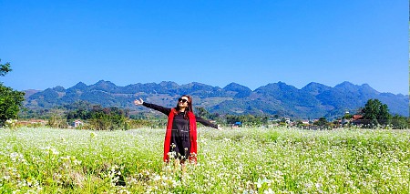 chương trình Mộc Châu Mùa Hoa Cải 2025