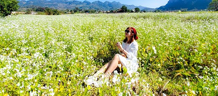 chương trình Mộc Châu Mùa Hoa Cải 2025