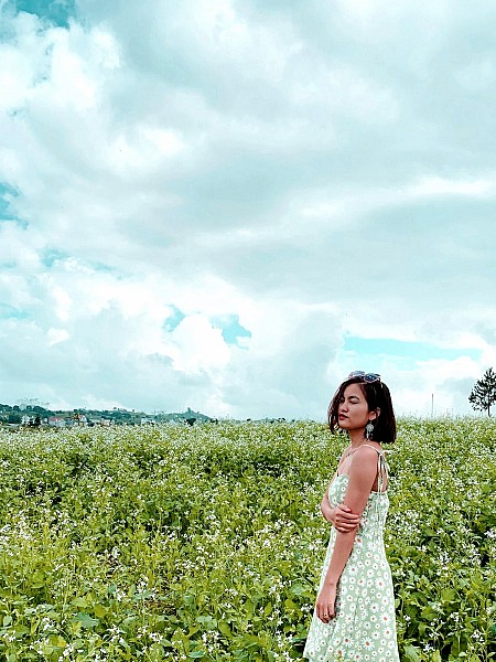 chương trình Mộc Châu Mùa Hoa Cải 2025