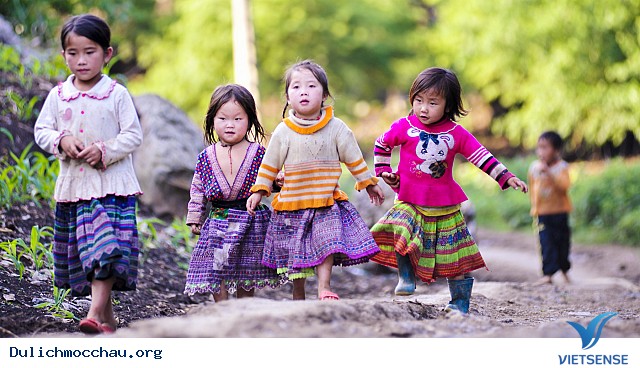 Săn hoa cải trắng ở đâu? Địa điểm nào đẹp? - Ảnh 2