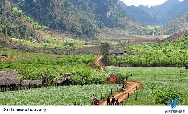 Bản Áng- Đà Lạt Thu Nhỏ Nơi Núi Rừng Tây Bắc - Ảnh 2