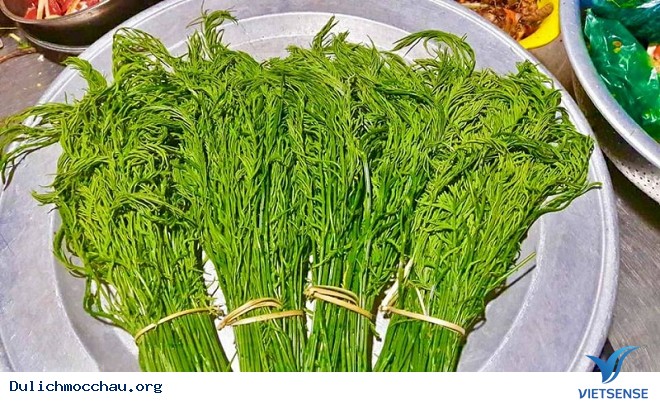 Đặc Sản Rau Thối Mộc Châu - Ảnh 3 Đặc Sản Rau Thối Mộc Châu - Ảnh 3