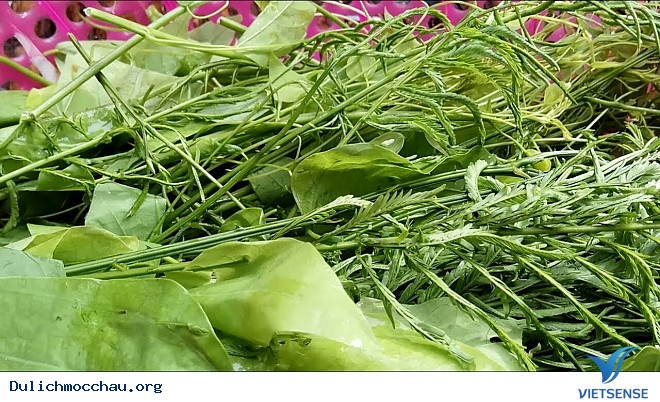 Đặc Sản Rau Thối Mộc Châu - Ảnh 1 Đặc Sản Rau Thối Mộc Châu - Ảnh 1