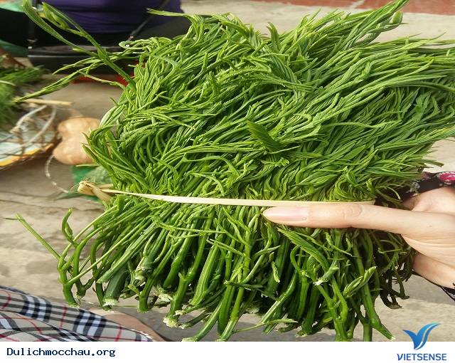 Đặc Sản Rau Thối Mộc Châu - Ảnh 2 Đặc Sản Rau Thối Mộc Châu - Ảnh 2