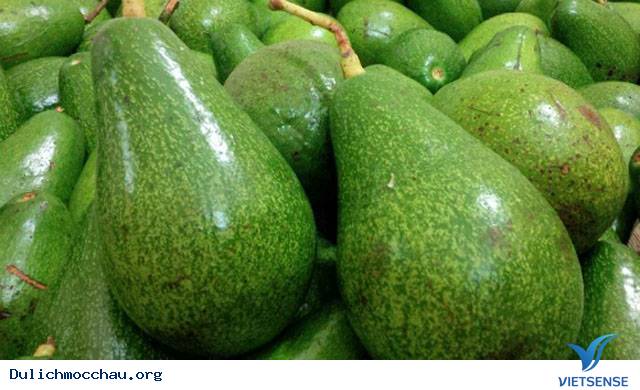 Hè Về Rủ Nhau hành trình Mộc Châu Hái Bơ - Ảnh 1