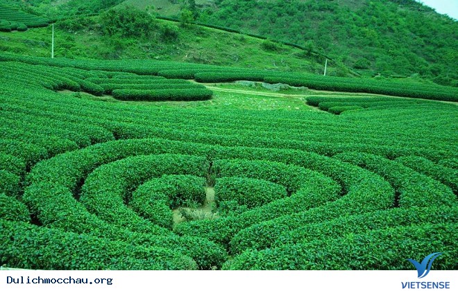 Đến với tết độc lập người Mông cần chuẩn bị những gì trước? Đến với tết độc lập người Mông cần chuẩn bị những gì trước?