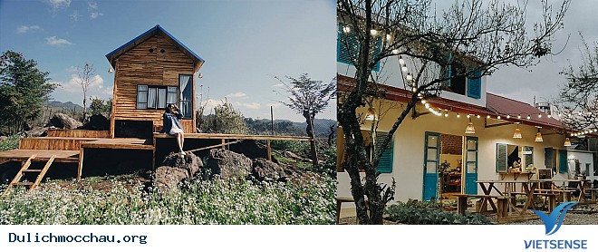 Rạo Rực Với Homestay Chất Lừ Giữa Lòng Mộc Châu - Ảnh 1