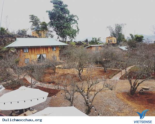 Rạo Rực Với Homestay Chất Lừ Giữa Lòng Mộc Châu - Ảnh 3