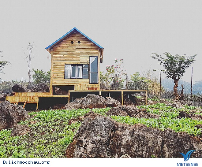 Rạo Rực Với Homestay Chất Lừ Giữa Lòng Mộc Châu - Ảnh 5