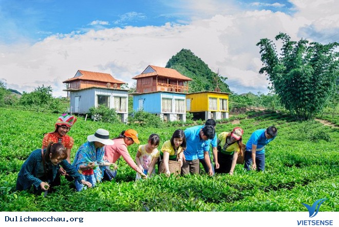 Trải Nghiệm hành trình Nông Nghiệp Ở Mộc Châu - Ảnh 1 Trải Nghiệm hành trình Nông Nghiệp Ở Mộc Châu - Ảnh 1