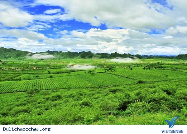 Trải Nghiệm Mùa Hè Cho Bé Trên Cao Nguyên Mộc Châu - Ảnh 2