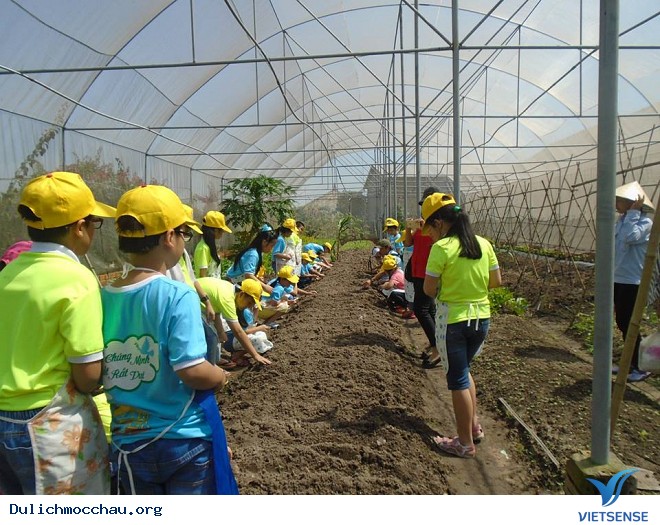 Trải Nghiệm Mùa Hè Cho Bé Trên Cao Nguyên Mộc Châu - Ảnh 4