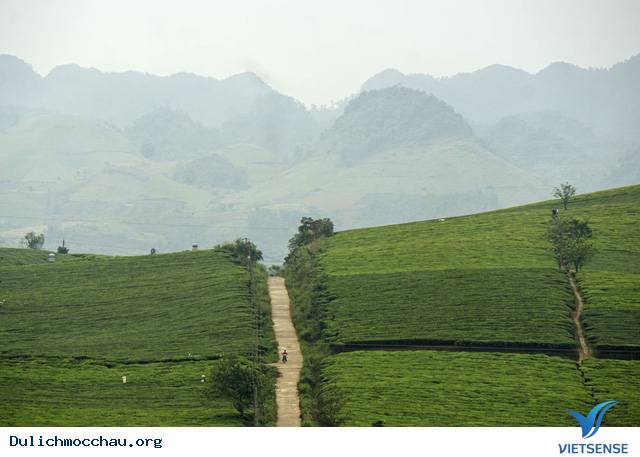 Trải Nghiệm Mùa Hè Cho Bé Trên Cao Nguyên Mộc Châu - Ảnh 1