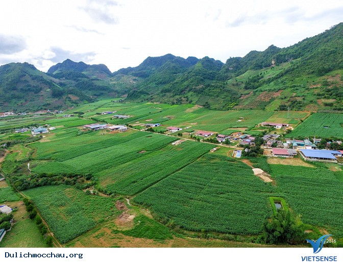 Lễ hội khinh khí cầu Mộc Châu 2018 - Ảnh 5 Lễ hội khinh khí cầu Mộc Châu 2018 - Ảnh 5