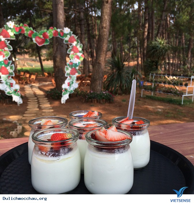 Những hình ảnh về Chimi Farm - Ảnh 1 Những hình ảnh về Chimi Farm - Ảnh 1