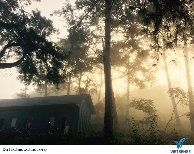 Đừng bỏ qua việc hít hà những luồng không khí trong lành Đừng bỏ qua việc hít hà những luồng không khí trong lành