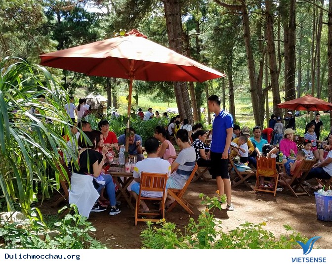 Trải nghiệm đồ ăn, thức uống tại Chimi - Ảnh 1 Trải nghiệm đồ ăn, thức uống tại Chimi - Ảnh 1